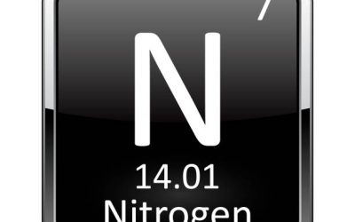 The Abundance of Nitrogen