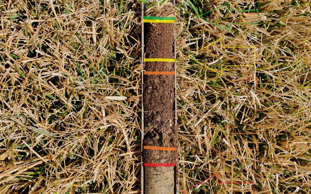 Let’s Talk about Thatch