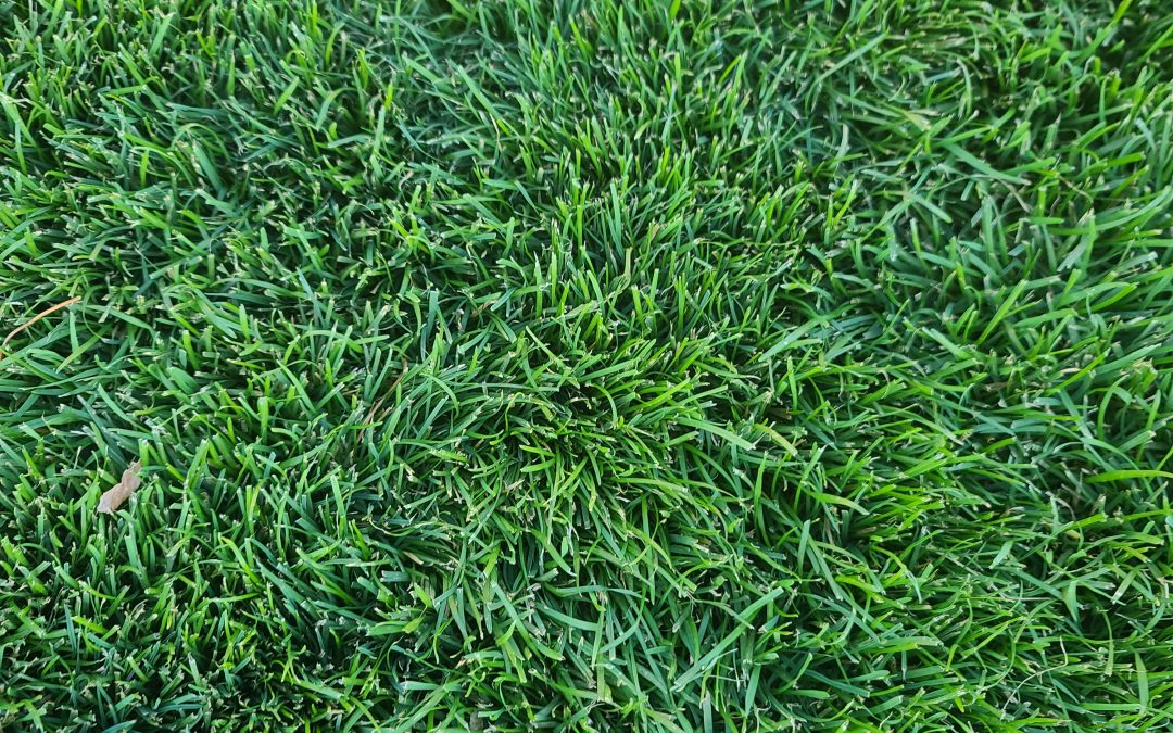 This is what we are after…