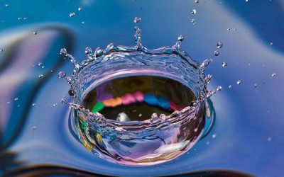 So, it’s going to be a wet year…a.k.a. everything you will need to know about water this year