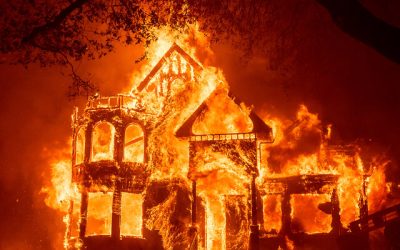 What is Wrong with the Lawn Care Industry (And How You Can Avoid It!)