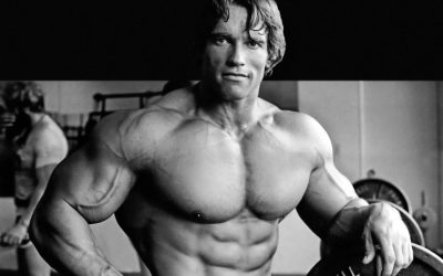 Arnold, Forest Diversity and Crop Rotation