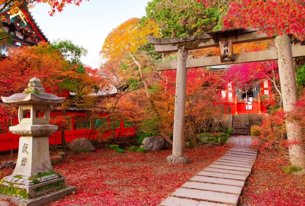 Three things I would consider if I was building a new house.