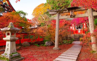 Three things I would consider if I was building a new house.