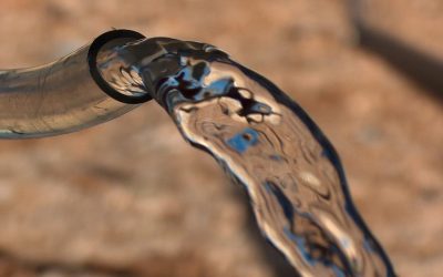 The Effects of Shallow Watering