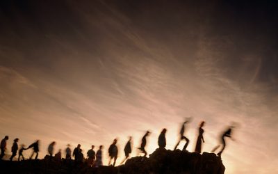 But my neighbor’s lawn…