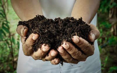 What did we learn this year?