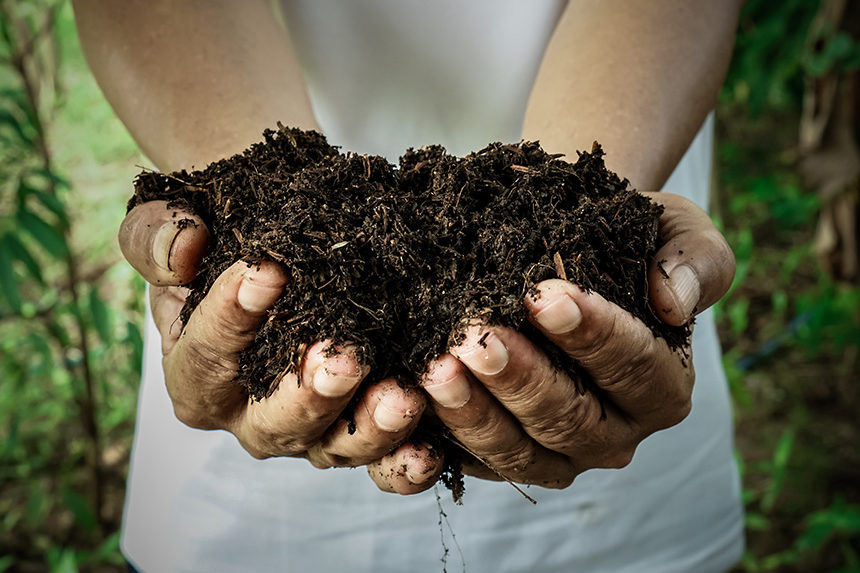 What did we learn this year?