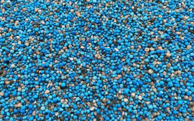 Geopolitics and Economics Affecting Your Lawn?