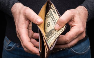 Get to know your lawn