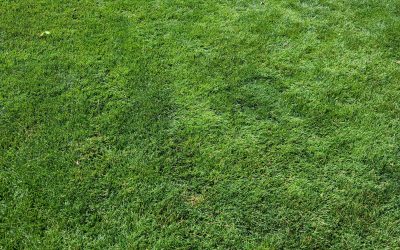 Another Year…Really?