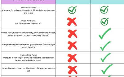 Synthetic Vs Biological