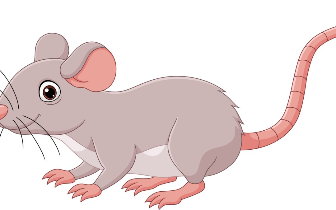 Social Shaming on Water, a New Low