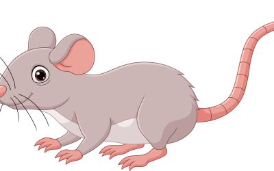 Social Shaming on Water, a New Low