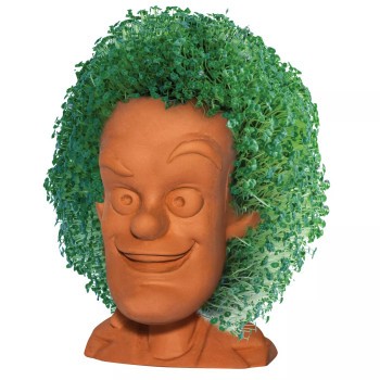 Your Lawn is NOT a Chia Pet