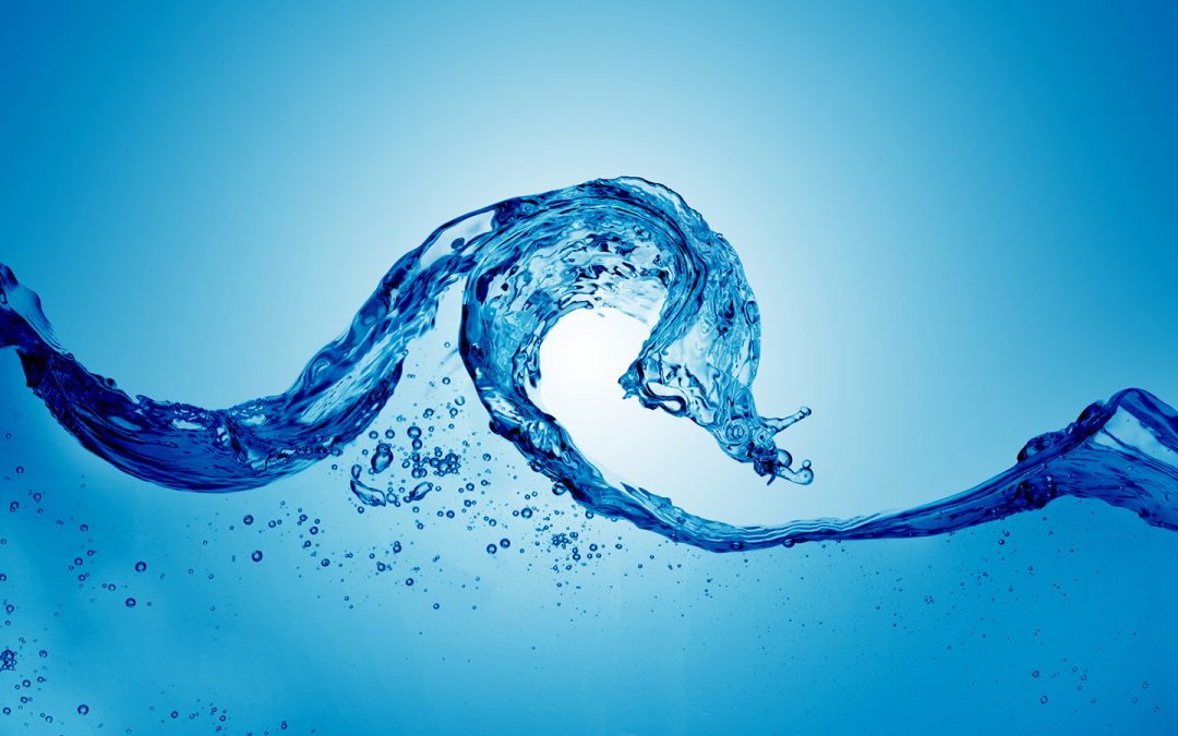 What You Need To Know About Water