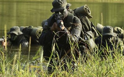 Guerilla Lawncare aka Robotic Mowing