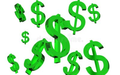 Does Your Lawn Hold Value?