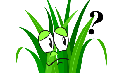 Do Not Confuse Action with Results or Green with Success