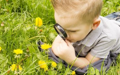 Can You Come Over And Look At My Lawn?