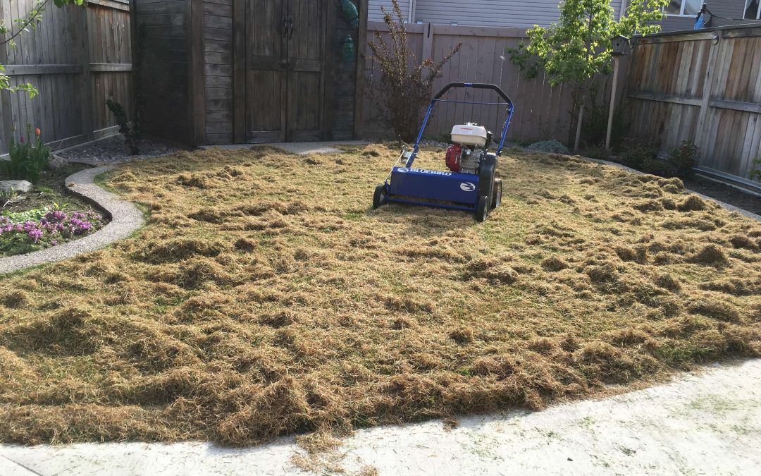 Power Raking…Why???