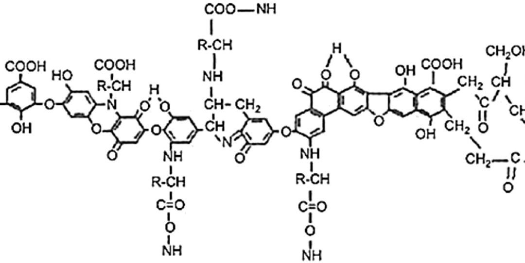 Understand This and Win With Your Lawn…