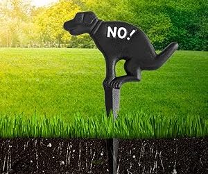 Recovering From Dog Urine