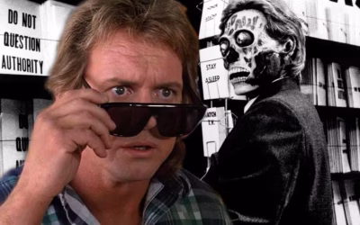 The Difference Between a “Good” Looking Lawn and an Efficient Lawn