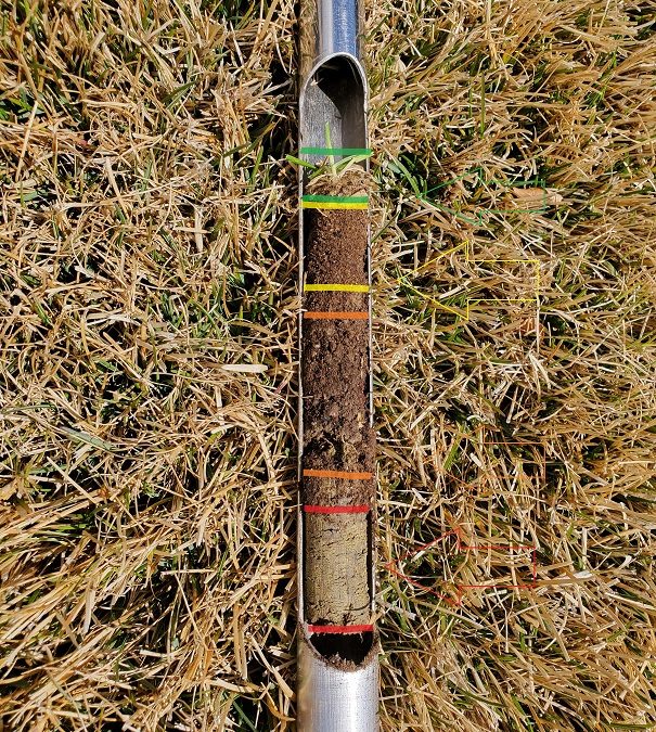 Got A Thatch Problem?