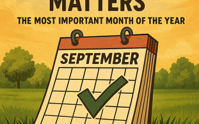 September: The Most Important Month for Your Lawn