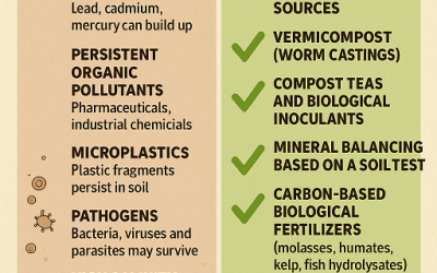 Top Risks of Using Municipal Waste as Lawn Fertilizer