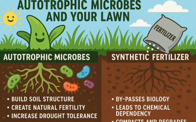 Regenerative Lawn Care And The New Model