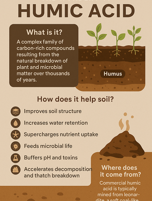 The Wonders of Humic Acid: Nature’s Secret Weapon for Soil Health