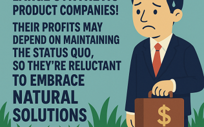 Are You Paying For A Lack of Innovation?