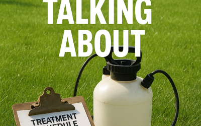 What No One Is Talking About