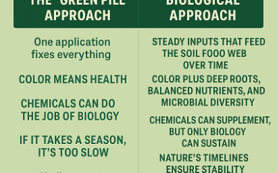 The Green Pill: Why Shortcuts Keep Failing You