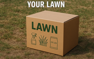 Stop Letting a “Box” Program Diagnose Your Lawn