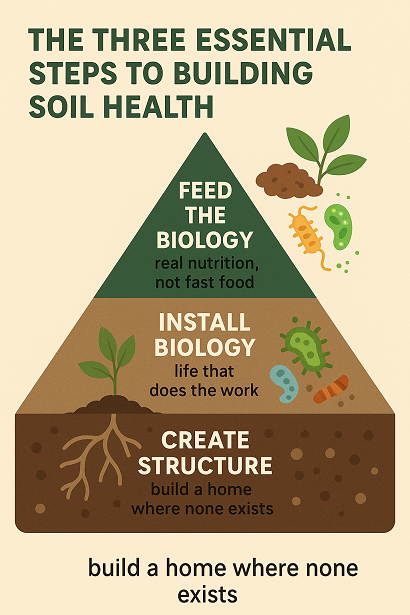 The Three Essential Steps to Building Soil Health