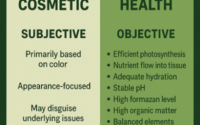 The Myth of the Green Lawn: What True Health Really Means