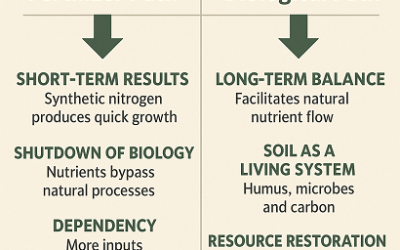 Why We Can’t Fertilize Our Way to a Healthy Lawn