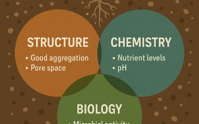 What It Really Means to Have Balanced Soil