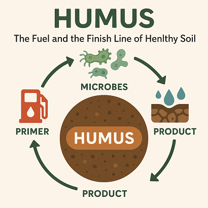 Humus: The Fuel and the Finish Line of Healthy Soil