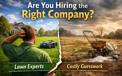 Are You Hiring the Right Company?