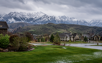 Are the Seasons Shifting? Drier Winters, Wetter Springs, and What That Means for Your Lawn