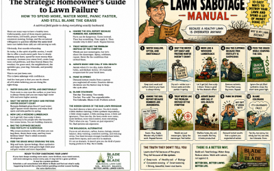 The Strategic Homeowner’s Guide to Lawn Failure