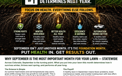 September Is the Most Important Month of the Year for Your Colorado Lawn