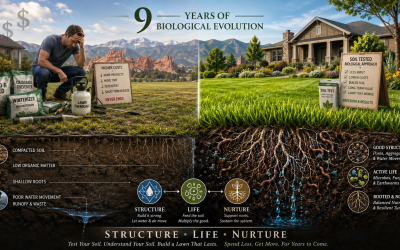 Nine Years Later: Why This Is the Best Time Ever to Go Biological